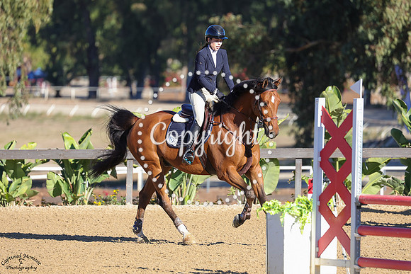 CASIMIRO_(1225)_20251017_5650