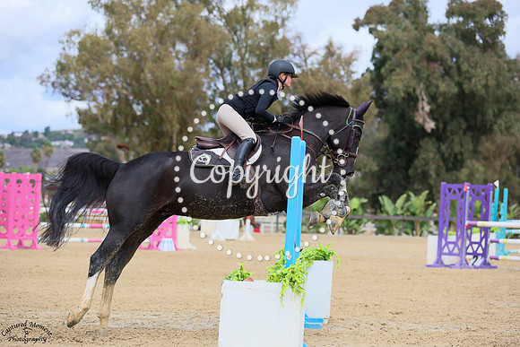 CIAN_(1319)_20251015_3101