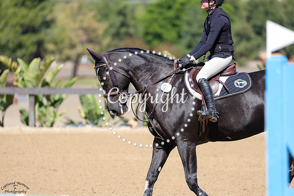 CIAN_(1319)_20251017_6541