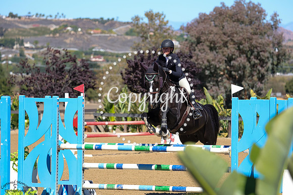 CIAN_(1319)_20251017_6548