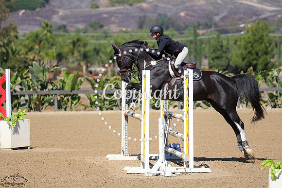 CIAN_(1319)_20251017_6557