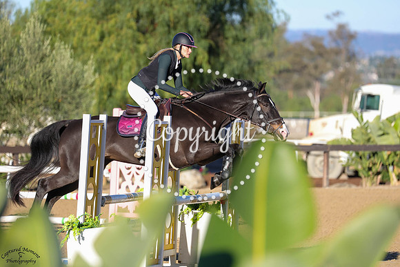 K_SIERRA_DE_LUNE_SE_(1214)_20251019_9992