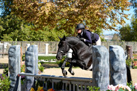 ROYAL_ROMANCE_(1290)_20251018_6228