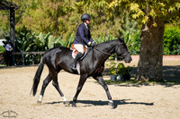 ROYAL_ROMANCE_(1290)_20251018_6241