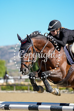 WESTMINSTERS_CAPTAIN_(598)_20251016_2300