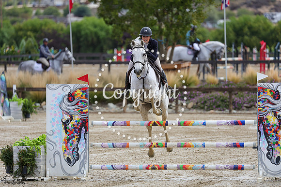 WHITE_HORSE_(928)_20251015_0153