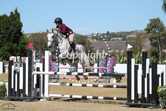 WHITE_HORSE_(928)_20251018_6876