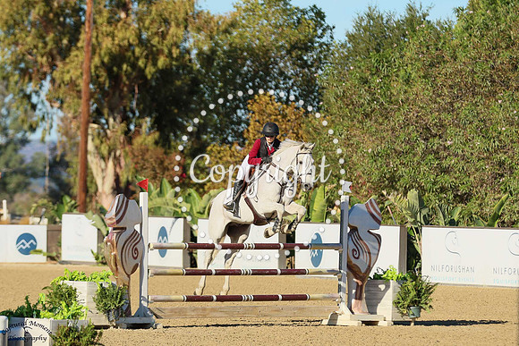 WHITE_HORSE_(928)_20251019_2055