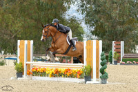 Chaccos_Love_Rw_(482)_20250528_3181