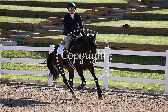 Ws_Fortnite_(902)_20250626_2731