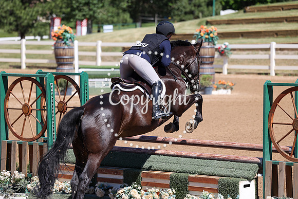 Gizmo_Etc_(948)_20250702_0316
