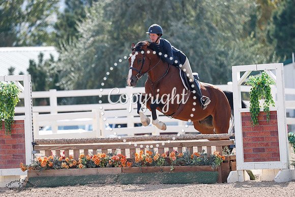 Limited_Edition_(1332)_20240913_5500