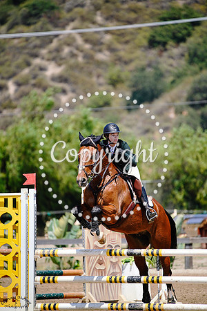 Cabaliero_(1000)_20250604_0773