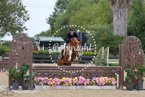 Cortes_S_(656)_20250619_3784