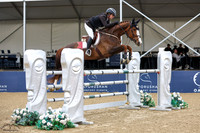 Soluna_Van_Het_Weidse_Hof_(821)_20250517_3669