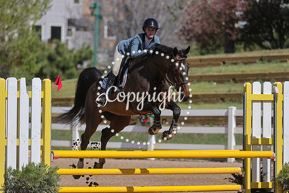 Van_Cleef_(199)_20250509_1010