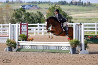 Dandy_Lion_(349)_20240517_0174
