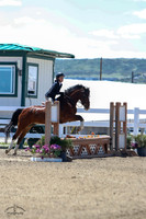 Dandy_Lion_(349)_20240517_2702
