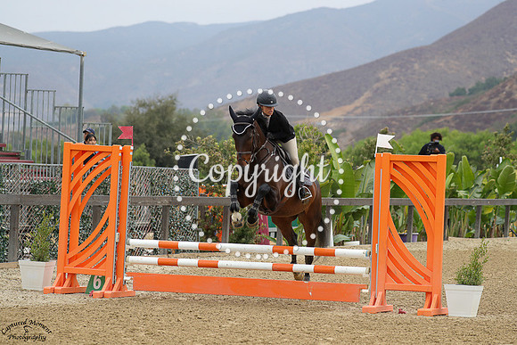 Kai_(206)_20241018_1479