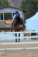 Cameron_Z_(400)_20241003_1883