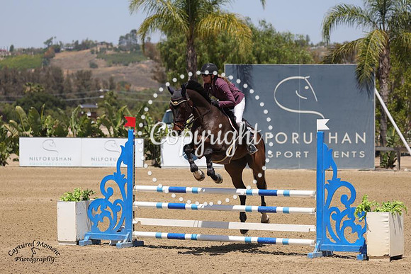 SCT_7968
