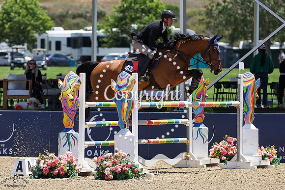 No_Feardi_(499)_20250514_0934