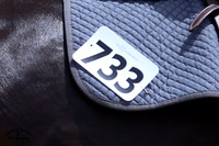 DCM_1428