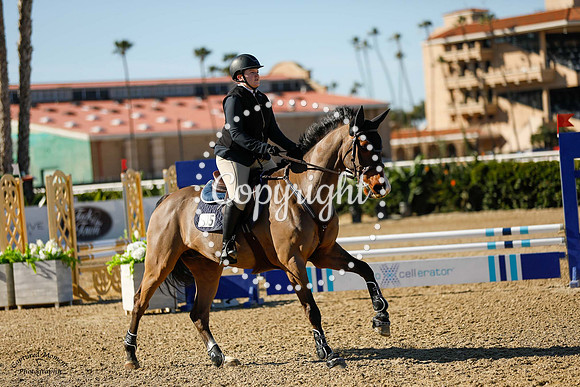 Blue_Contender_(205)_20230126_0739