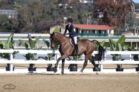 Cancara_(484)_20230127_3841