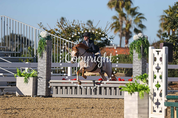 Copperfield_(204)_20230125_0113