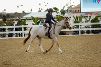 Copperfield_(204)_20230128_1436