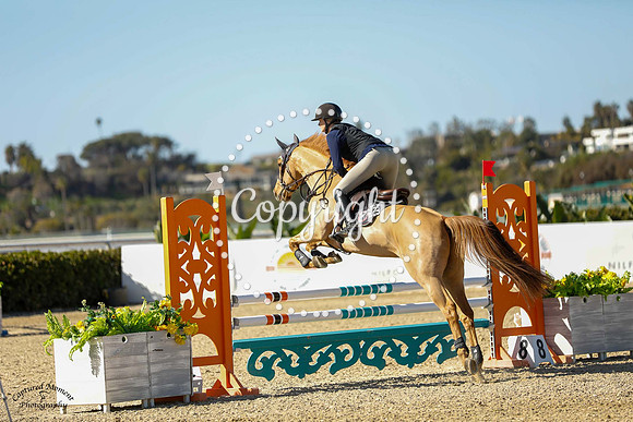 Edelster_Vdp_(184)_20230126_1128