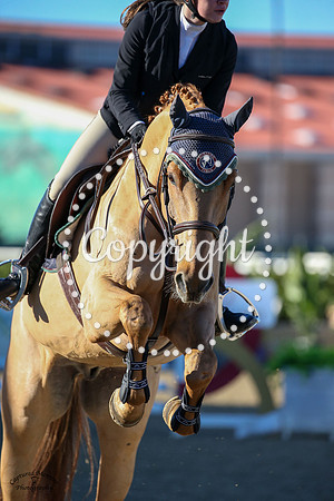 Edelster_Vdp_(184)_20230127_4801