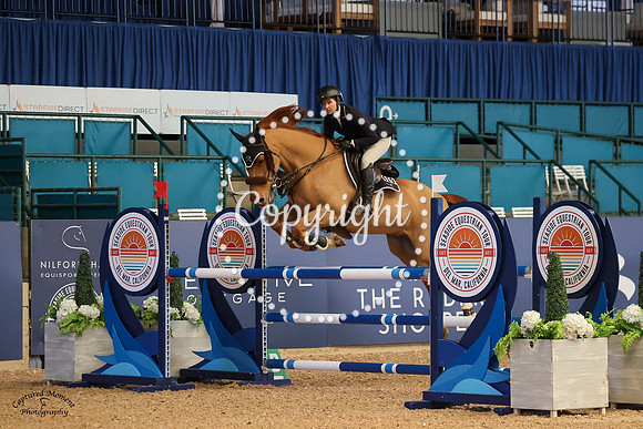 Paddington_(419)_20230125_0572