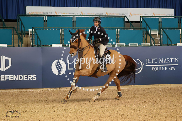 Paddington_(419)_20230125_0574