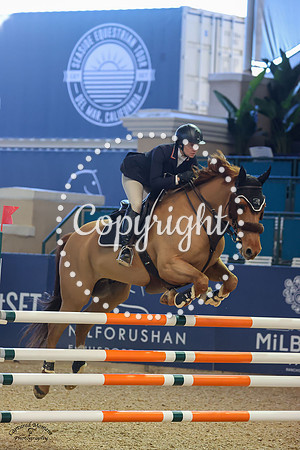 Paddington_(419)_20230125_0576