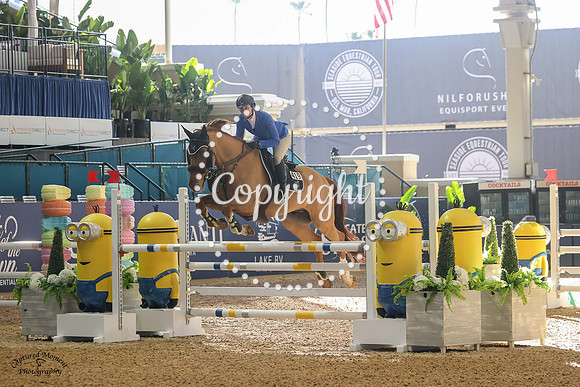 Paddington_(419)_20230126_1567