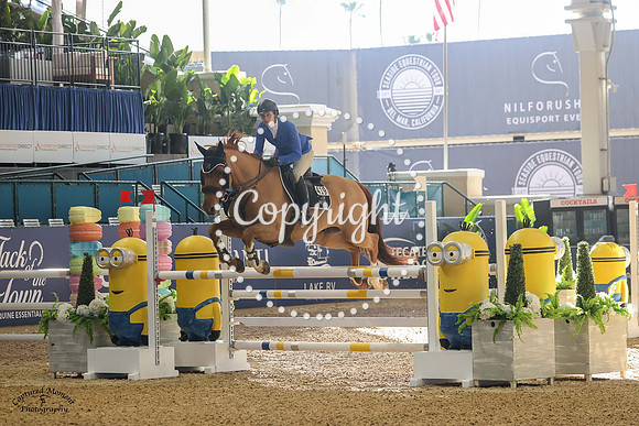 Paddington_(419)_20230126_1568