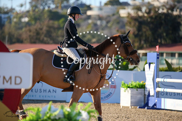 Paddington_(419)_20230127_6235