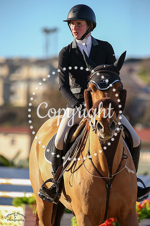 Paddington_(419)_20230127_6243