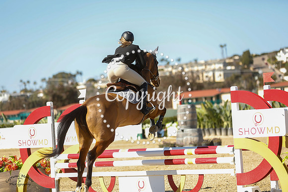 Visette_(241)_20230126_1060