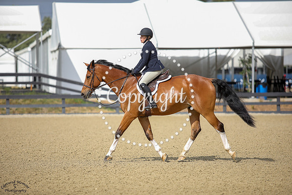Fred_The_Horse_(645)_20250716_0181