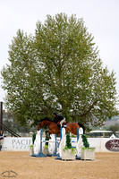Maestro_Vica_Vd_Ark_(1043)_20250604_0010