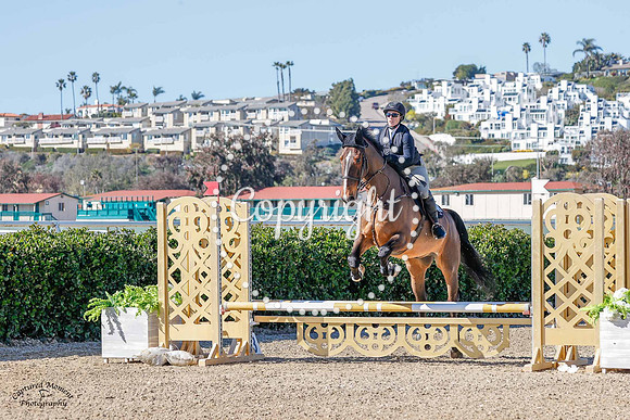 Bear_Necessities_(752)_20230201_3736