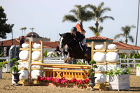 Black_Emerald_(648)_20230202_4294