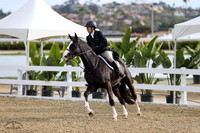 Black_Emerald_(648)_20230203_5755