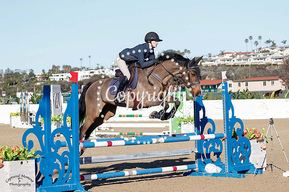 Blue_Contender_(205)_20230201_2931