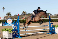 Blue_Contender_(205)_20230201_2937