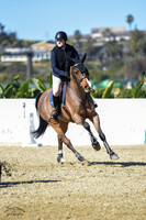 Blue_Contender_(205)_20230202_6284