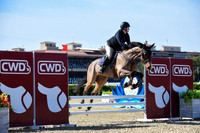 Blue_Contender_(205)_20230202_6289